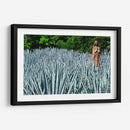 Virgen en campo de agave - 5000 grados | Cuadro decorativo de Canvas Lab