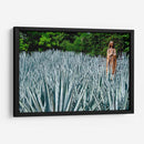 Virgen en campo de agave - 5000 grados | Cuadro decorativo de Canvas Lab