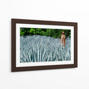 Virgen en campo de agave - 5000 grados | Cuadro decorativo de Canvas Lab