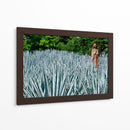 Virgen en campo de agave - 5000 grados | Cuadro decorativo de Canvas Lab