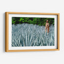 Virgen en campo de agave - 5000 grados | Cuadro decorativo de Canvas Lab