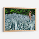 Virgen en campo de agave - 5000 grados | Cuadro decorativo de Canvas Lab