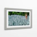 Virgen en campo de agave - 5000 grados | Cuadro decorativo de Canvas Lab