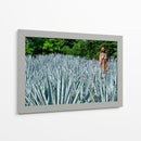 Virgen en campo de agave - 5000 grados | Cuadro decorativo de Canvas Lab
