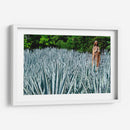 Virgen en campo de agave - 5000 grados | Cuadro decorativo de Canvas Lab