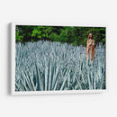 Virgen en campo de agave - 5000 grados | Cuadro decorativo de Canvas Lab