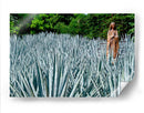 Virgen en campo de agave - 5000 grados | Cuadro decorativo de Canvas Lab