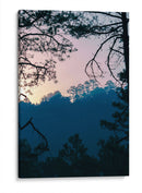 Amanecer en el bosque - Enrique Estrada | Cuadro decorativo de Canvas Lab