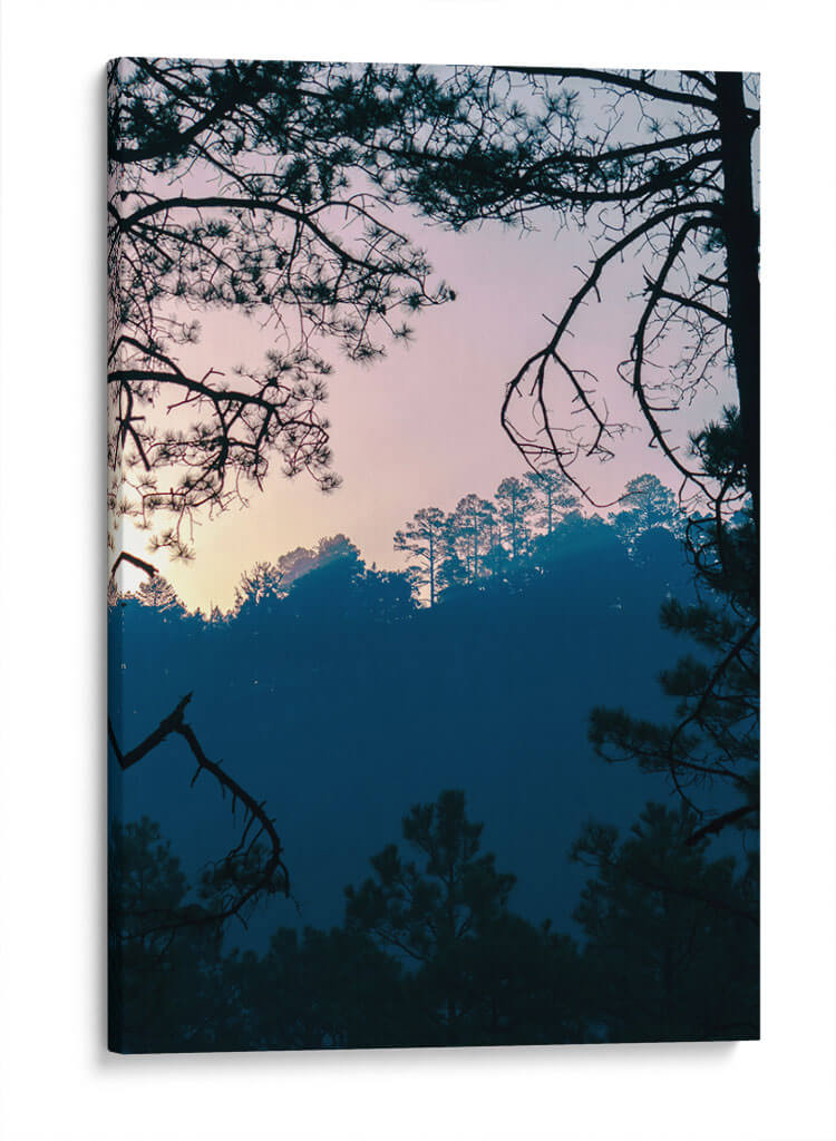 Amanecer en el bosque - Enrique Estrada | Cuadro decorativo de Canvas Lab