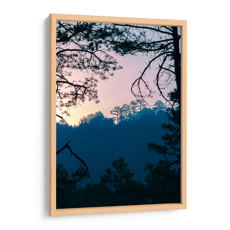 Amanecer en el bosque - Enrique Estrada | Cuadro decorativo de Canvas Lab