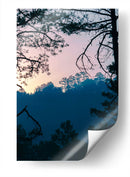 Amanecer en el bosque - Enrique Estrada | Cuadro decorativo de Canvas Lab