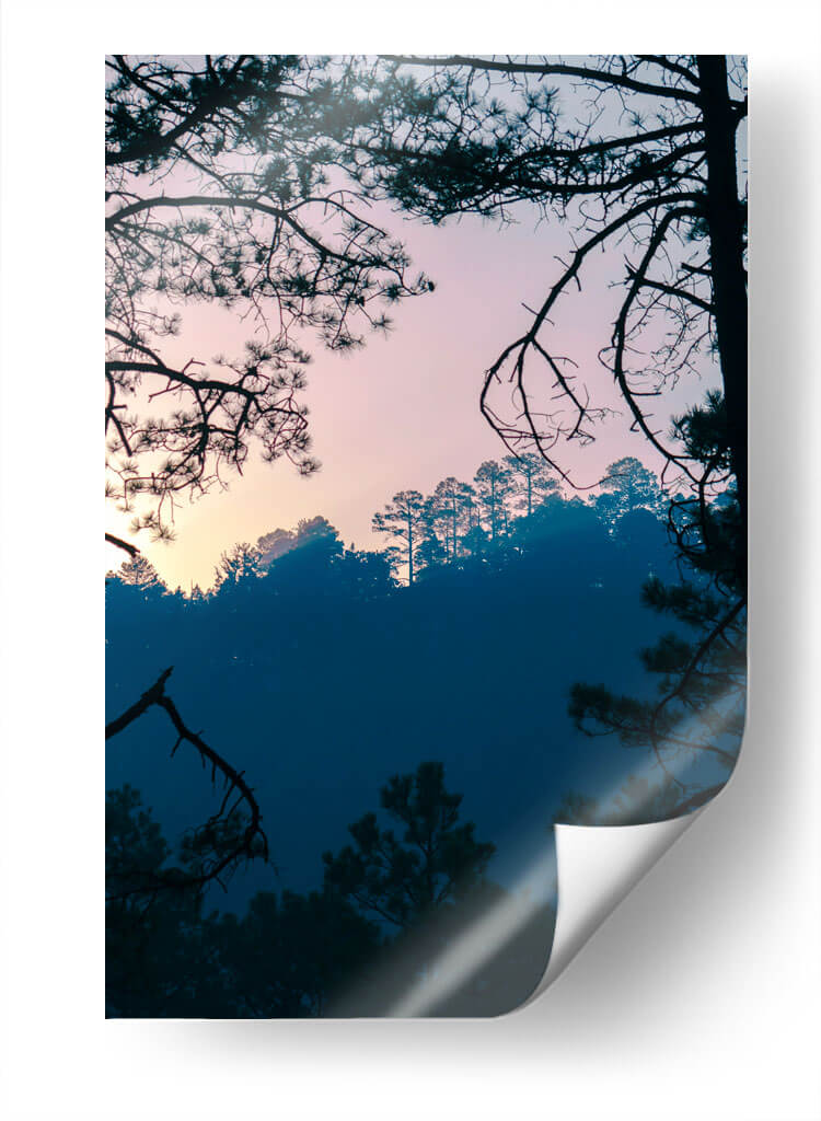 Amanecer en el bosque - Enrique Estrada | Cuadro decorativo de Canvas Lab