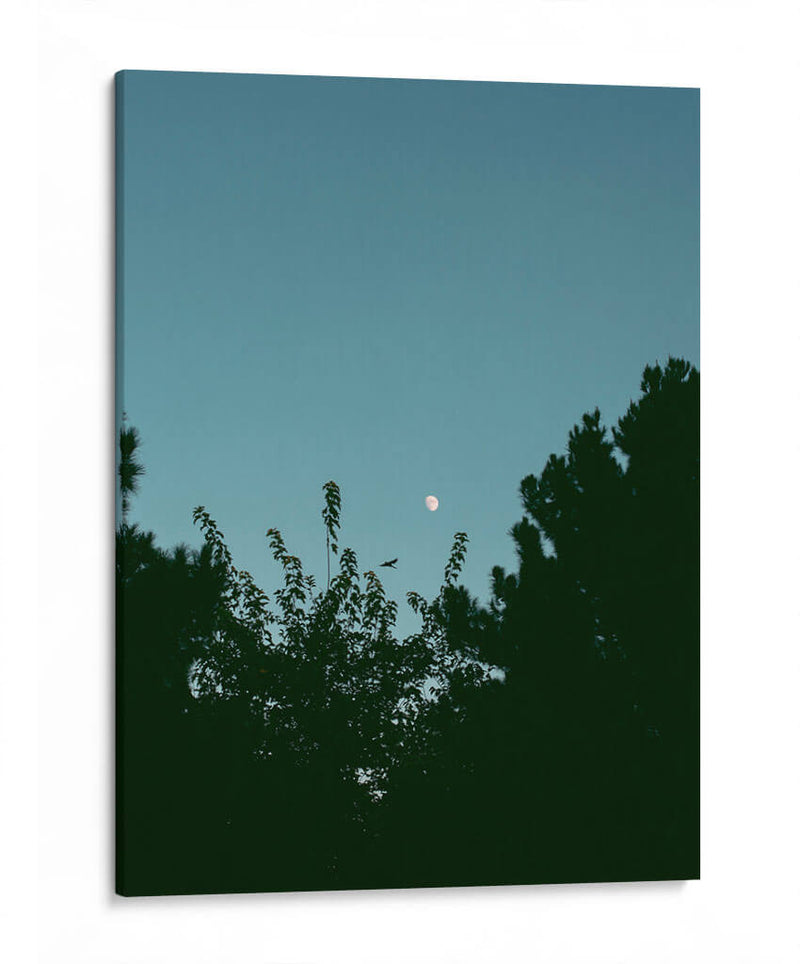 Ave volando y luna en gibosa creciente - Enrique Estrada | Cuadro decorativo de Canvas Lab
