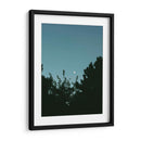 Ave volando y luna en gibosa creciente - Enrique Estrada | Cuadro decorativo de Canvas Lab