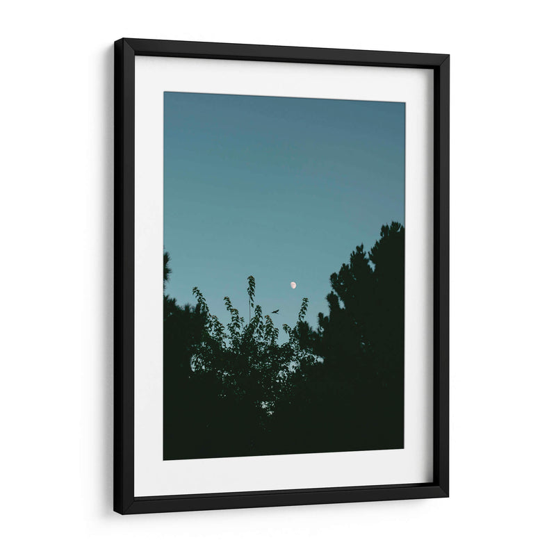 Ave volando y luna en gibosa creciente - Enrique Estrada | Cuadro decorativo de Canvas Lab