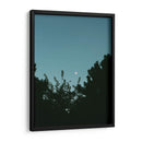 Ave volando y luna en gibosa creciente - Enrique Estrada | Cuadro decorativo de Canvas Lab