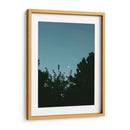 Ave volando y luna en gibosa creciente - Enrique Estrada | Cuadro decorativo de Canvas Lab