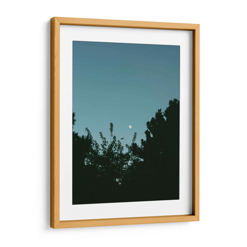 Ave volando y luna en gibosa creciente - Enrique Estrada | Cuadro decorativo de Canvas Lab