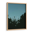 Ave volando y luna en gibosa creciente - Enrique Estrada | Cuadro decorativo de Canvas Lab