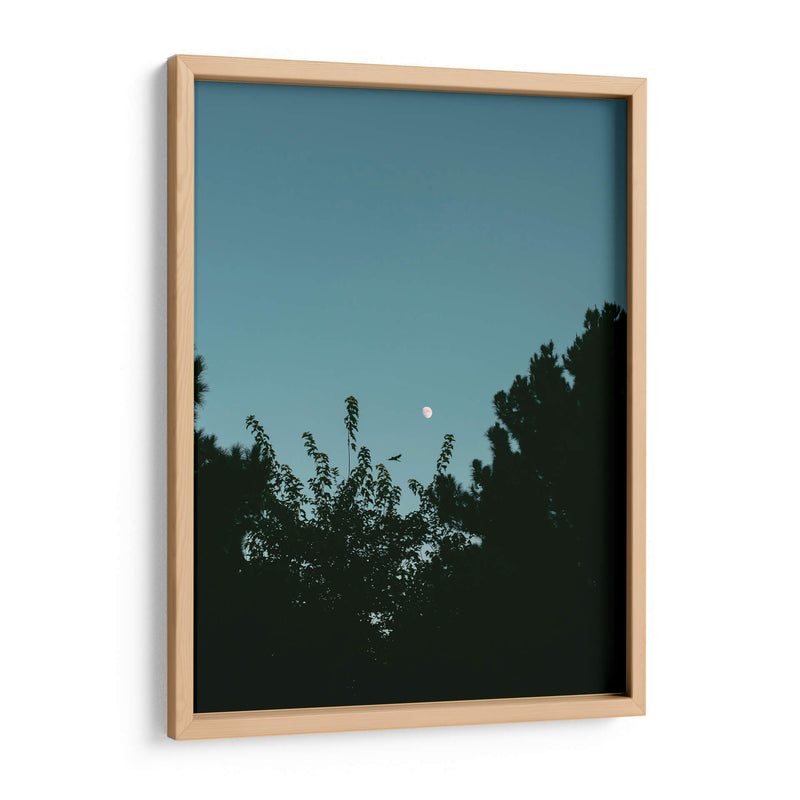 Ave volando y luna en gibosa creciente - Enrique Estrada | Cuadro decorativo de Canvas Lab