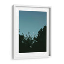 Ave volando y luna en gibosa creciente - Enrique Estrada | Cuadro decorativo de Canvas Lab