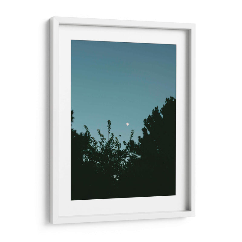 Ave volando y luna en gibosa creciente - Enrique Estrada | Cuadro decorativo de Canvas Lab