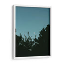 Ave volando y luna en gibosa creciente - Enrique Estrada | Cuadro decorativo de Canvas Lab