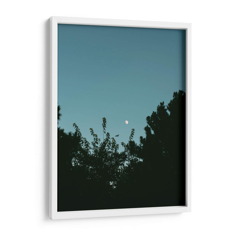 Ave volando y luna en gibosa creciente - Enrique Estrada | Cuadro decorativo de Canvas Lab