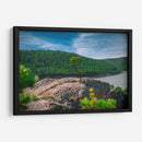 Bosque de la Sierra Madre Occidental - Enrique Estrada | Cuadro decorativo de Canvas Lab