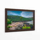 Bosque de la Sierra Madre Occidental - Enrique Estrada | Cuadro decorativo de Canvas Lab