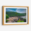 Bosque de la Sierra Madre Occidental - Enrique Estrada | Cuadro decorativo de Canvas Lab