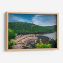 Bosque de la Sierra Madre Occidental - Enrique Estrada | Cuadro decorativo de Canvas Lab