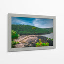 Bosque de la Sierra Madre Occidental - Enrique Estrada | Cuadro decorativo de Canvas Lab