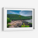 Bosque de la Sierra Madre Occidental - Enrique Estrada | Cuadro decorativo de Canvas Lab