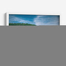 Bosque de la Sierra Madre Occidental - Enrique Estrada | Cuadro decorativo de Canvas Lab