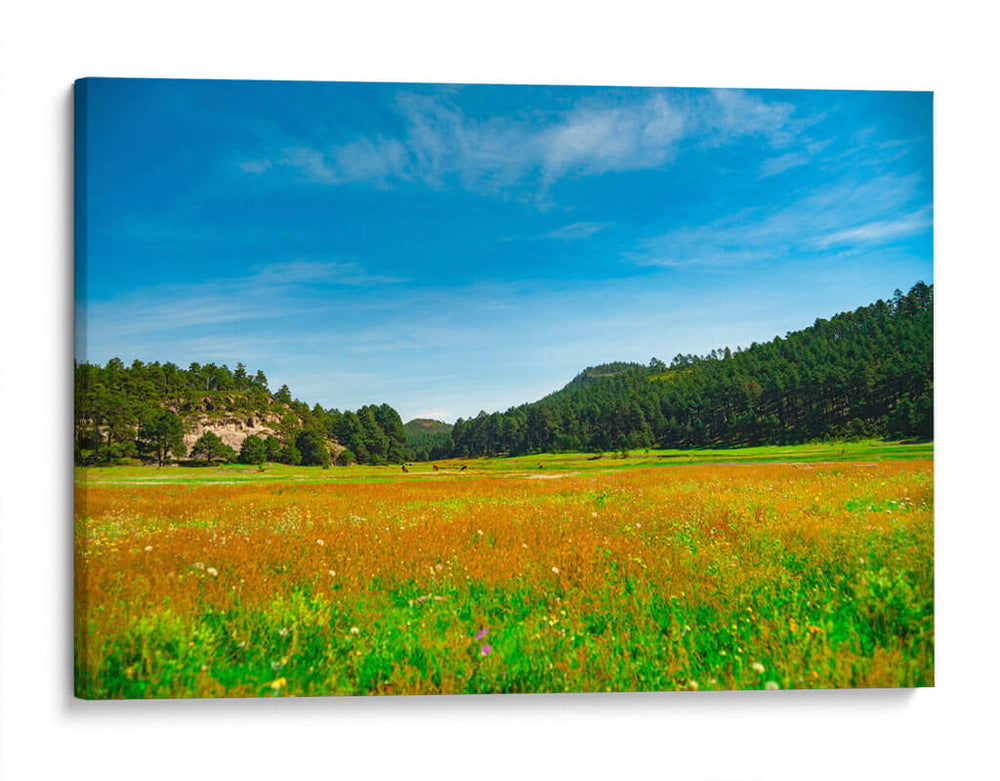 Bosques de Chihuahua - Enrique Estrada | Cuadro decorativo de Canvas Lab