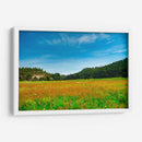 Bosques de Chihuahua - Enrique Estrada | Cuadro decorativo de Canvas Lab