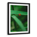 Catarina - Enrique Estrada | Cuadro decorativo de Canvas Lab