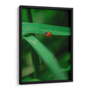 Catarina - Enrique Estrada | Cuadro decorativo de Canvas Lab