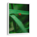 Catarina - Enrique Estrada | Cuadro decorativo de Canvas Lab