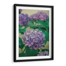Hortensias - Enrique Estrada | Cuadro decorativo de Canvas Lab