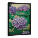 Hortensias - Enrique Estrada | Cuadro decorativo de Canvas Lab