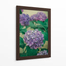 Hortensias - Enrique Estrada | Cuadro decorativo de Canvas Lab