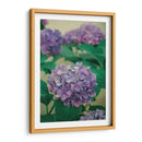 Hortensias - Enrique Estrada | Cuadro decorativo de Canvas Lab