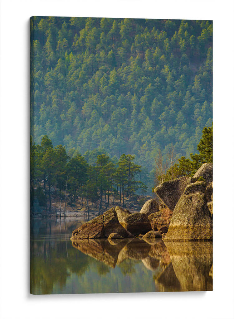 Bosque reflejado en lago - Enrique Estrada | Cuadro decorativo de Canvas Lab