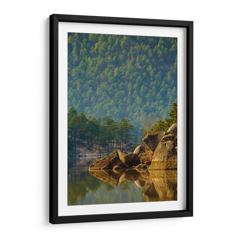 Bosque reflejado en lago - Enrique Estrada | Cuadro decorativo de Canvas Lab