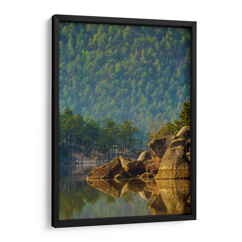 Bosque reflejado en lago - Enrique Estrada | Cuadro decorativo de Canvas Lab