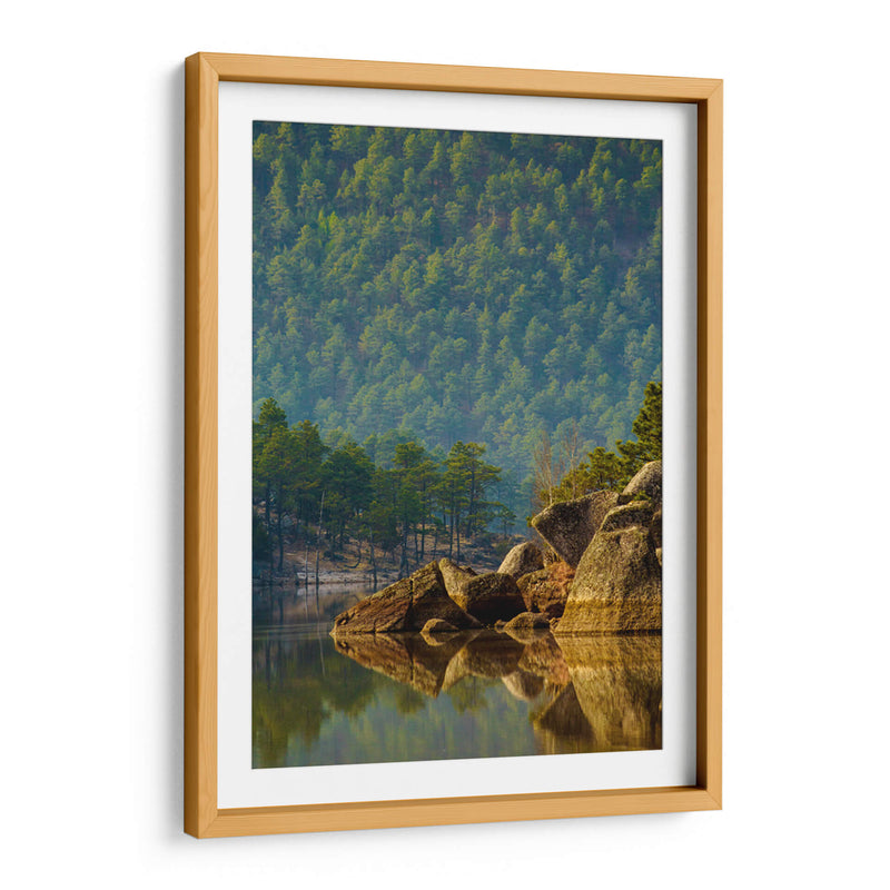 Bosque reflejado en lago - Enrique Estrada | Cuadro decorativo de Canvas Lab