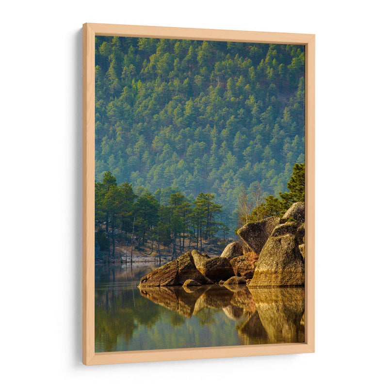 Bosque reflejado en lago - Enrique Estrada | Cuadro decorativo de Canvas Lab