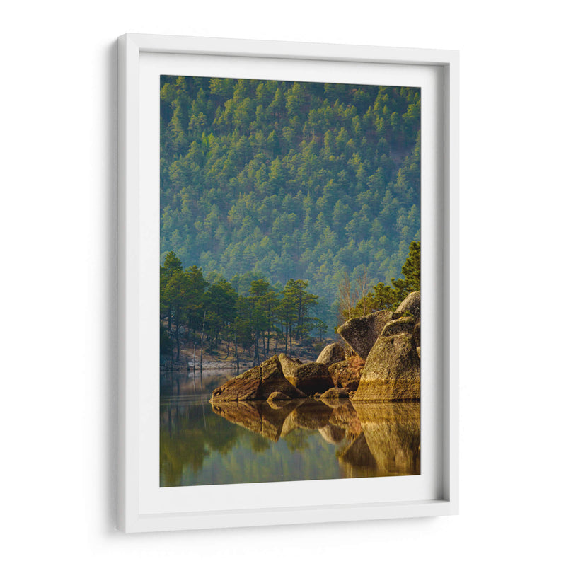 Bosque reflejado en lago - Enrique Estrada | Cuadro decorativo de Canvas Lab